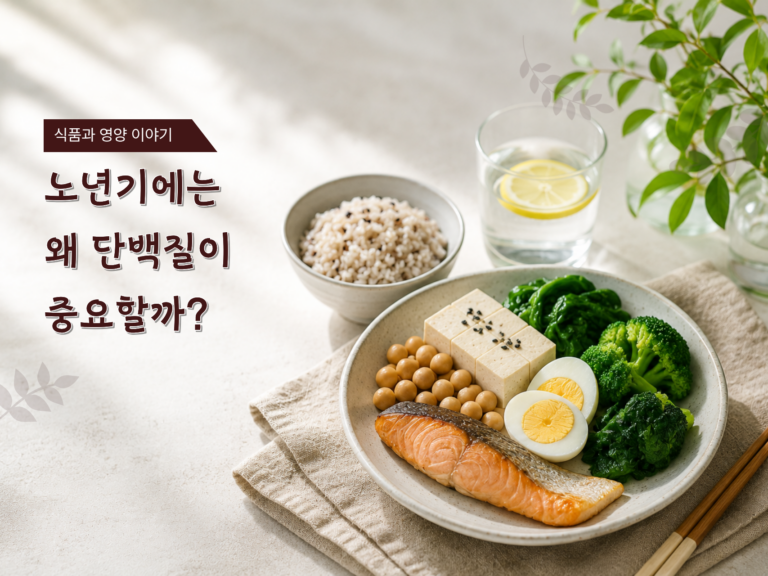 노년기에는 왜 단백질이 중요할까요?
