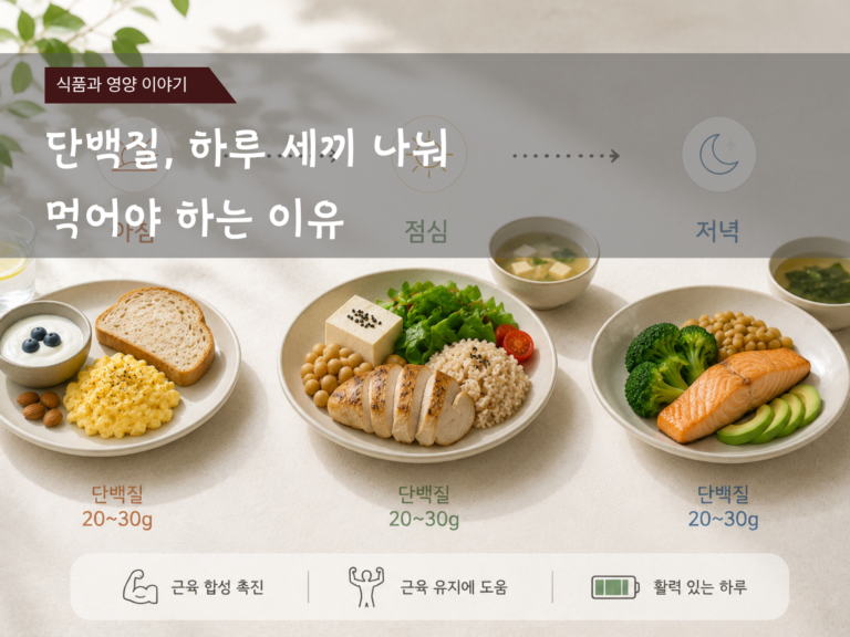 단백질, 하루 세끼에 나눠 먹어야 하는 이유